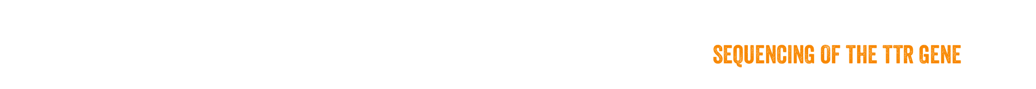 SEQUENCING OF THE TTR GENE