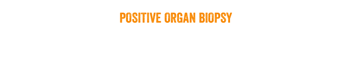 POSITIVE ORGAN BIOPSY